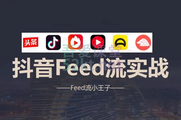 FEED小王子FEED流实战线上教学课程 IT·互联网 第1张