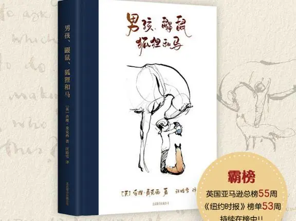 男孩鼹鼠狐狸和马PDF电子书中文版下载免费版|百度网盘下载-不可思议资源网